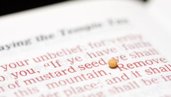 The Meaning of Matthew 17:20: “If You Have Faith as a Mustard Seed”